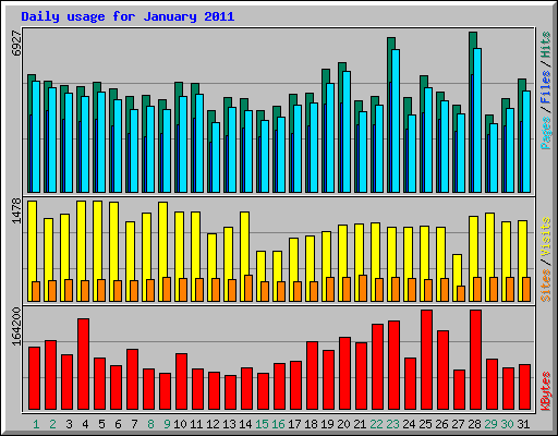 Daily usage for January 2011