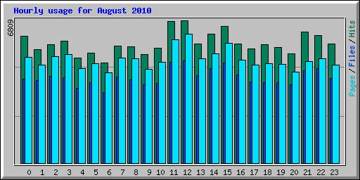 Hourly usage for August 2010