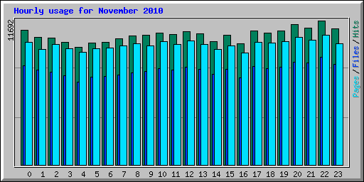 Hourly usage for November 2010