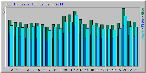 Hourly usage for January 2011